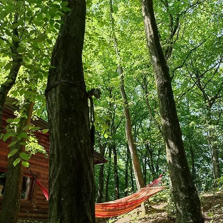 Villa Sumarak Saraievo